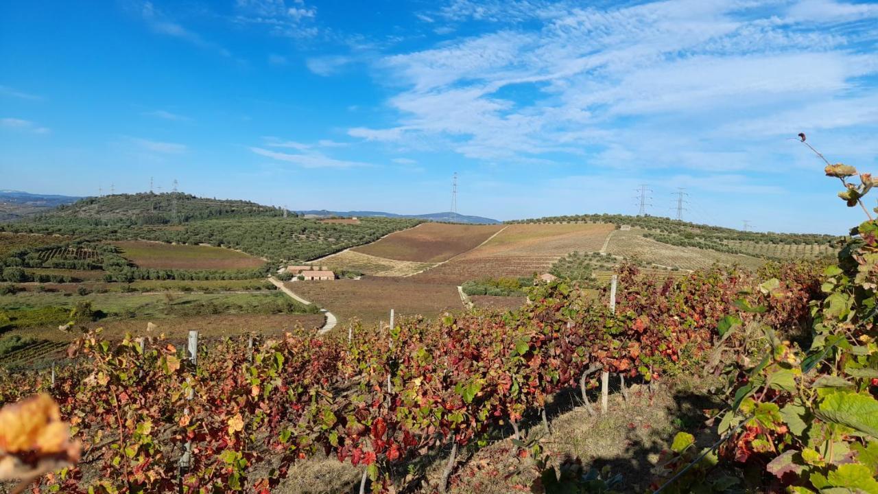 فيلا بلدية آرمامارفي Quinta Do Outono المظهر الخارجي الصورة