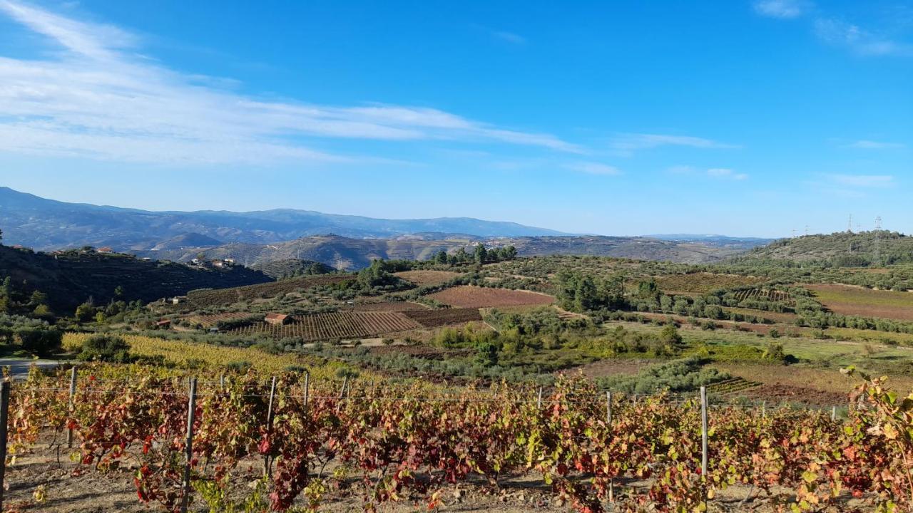 فيلا بلدية آرمامارفي Quinta Do Outono المظهر الخارجي الصورة